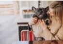 Pets redefinem lazer urbano: aplicativos conectam tutores a espaços pet friendly