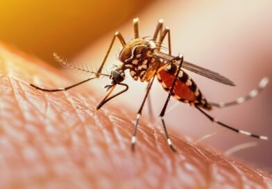 Por que ondas de calor e chuvas intensas criam o cenário perfeito para surtos de dengue?