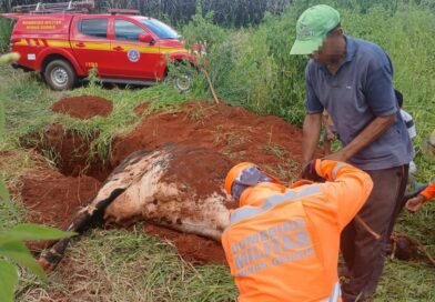BOCAIUVA: BOMBEIROS ATENDEM OCORRÊNCIA DE SALVAMENTO DE VACA EM CISTERNA NA ZONA RURAL DE BOCAIUVA