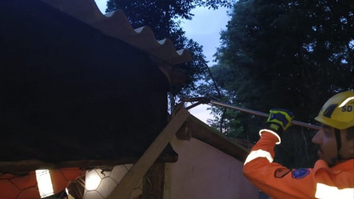 Captura de Animal Silvestre Perigoso na rodovia MGC 369