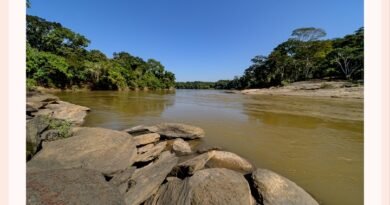 Dia Mundial da Água: Projetos hidro ambientais avançam na Bacia do Rio Piracicaba
