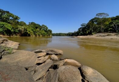 Dia Mundial da Água: Projetos hidro ambientais avançam na Bacia do Rio Piracicaba