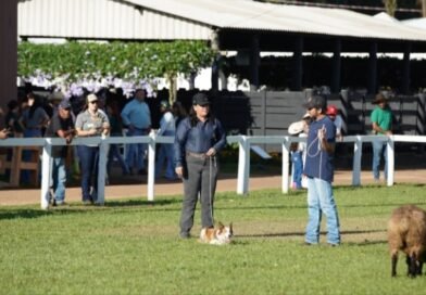 Com 65 hectares, Tecnoshow COMIGO integra infraestrutura, serviços e programação familiar para a experiência do visitante