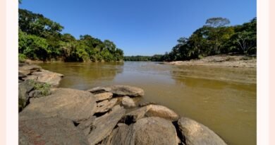 Proteção de nascentes melhoram a disponibilidade hídrica na Bacia do Rio Piracicaba 