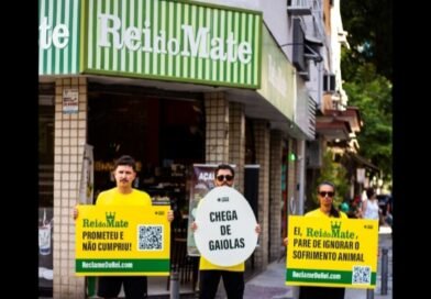 “Mate sem sofrimento animal”: ativistas distribuem bebida em protesto contra o Rei do Mate