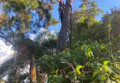 Santa Rita do Sapucaí MG: CBMMG acionado para resgatar piloto de paraglider (vídeo)