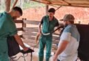 IFMG e Unidade Tecnológica Ceipart fortalecem cadeia produtiva do queijo em São Gonçalo do Rio Abaixo