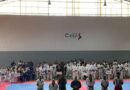 Festival de Artes Marciais reúne 350 atletas em João Monlevade