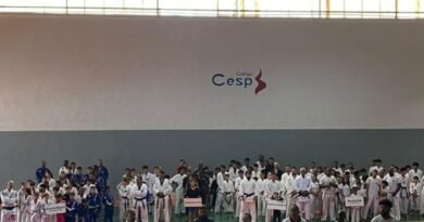 Festival de Artes Marciais reúne 350 atletas em João Monlevade