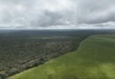 Lideranças Indígenas Apinajés exigem que o Banco Mundial interrompa empréstimo a agronegócio com acusações de desmatamento na Amazônia e no Cerrado