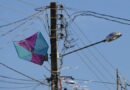 Pipas causam mais de 3,5 mil interrupções de energia em MG e afetam 1,1 milhão de clientes da Cemig 