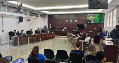 Vereadores aprovam projetos para combate à esporotricose e apoio a produtores rurais