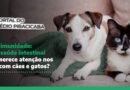 Inverno e imunidade: por que a saúde intestinal merece atenção nos cuidados com cães e gatos