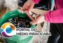 Prefeitura orienta população sobre descarte correto de resíduos em João Monlevade
