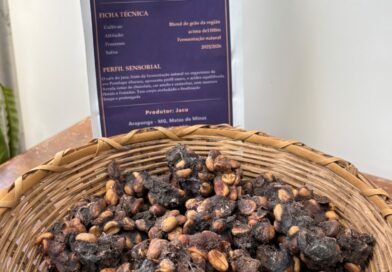 Jacu é aliado na produção de cafés exclusivos em Araponga