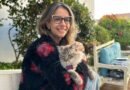 Assim como em humanos, envelhecimento de pets requer acompanhamento e cuidado preventivo