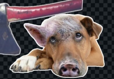 Minas Gerais: o cutelo, o cachorro e a tentativa de homicídio