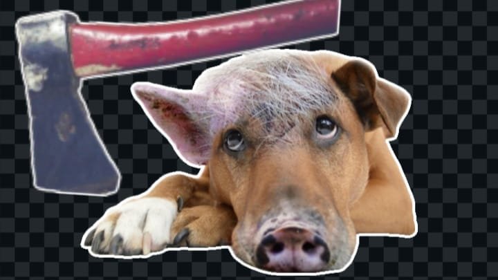 Minas Gerais: o cutelo, o cachorro e a tentativa de homicídio