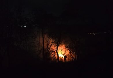 BOMBEIROS COMBATEM INCÊNDIO EM VEGETAÇÃO EM SETE LAGOAS