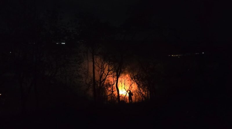 BOMBEIROS COMBATEM INCÊNDIO EM VEGETAÇÃO EM SETE LAGOAS