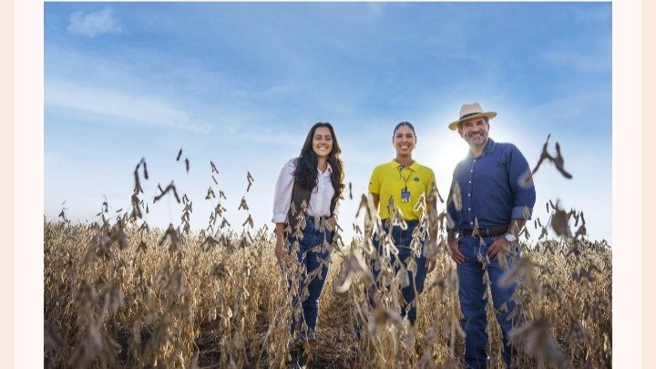 Mais de 25 mil produtores e cooperativas da região Sudeste podem se beneficiar com a MP 1.376