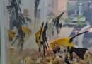 Muriaé recebe exposição nacional e estadual de aquicultura ornamental durante a 69ª Expo Muriaé