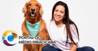 Do hospital à Fundação CASA, advogada e golden retriever transformam vínculo em trabalho voluntário Do hospital à Fundação CASA, advogada e golden retriever transformam vínculo em trabalho voluntário