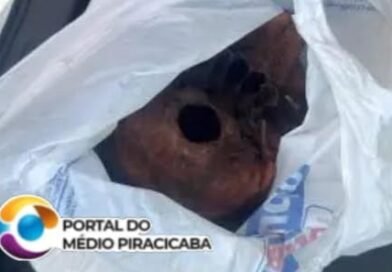 Um coveiro, um crânio humano, a pequera na coroa, o despacho de macumba e a Polícia