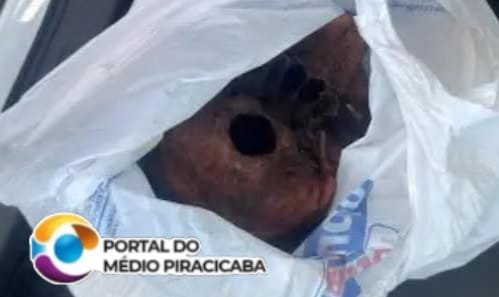 Um coveiro, um crânio humano, a pequera na coroa, o despacho de macumba e a Polícia