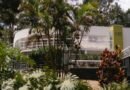 Dia da Árvore: domingo de plantio e versos no Parque do Palácio