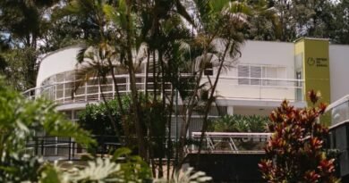 Dia da Árvore: domingo de plantio e versos no Parque do Palácio