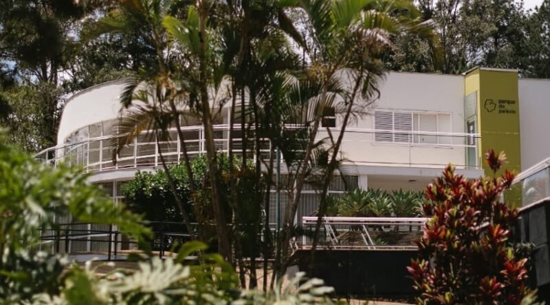 Dia da Árvore: domingo de plantio e versos no Parque do Palácio