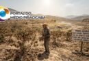 Super El Niño: pesquisa alerta para seca, calor e impactos na agricultura em Minas Gerais
