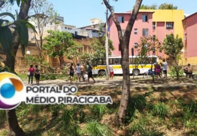 BH: ônibus escolar lotado de crianças, chocou-se contra poste de energia