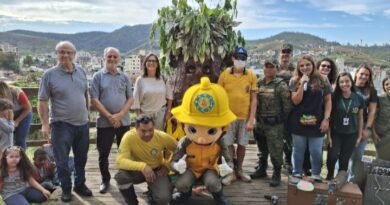 João Monlevade celebra Dia da Árvore com plantio de mudas e atividades de educação ambiental