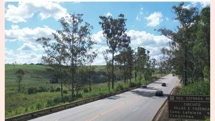 BR-040 entre BH e Juiz de Fora registra quase 450 mil excessos de velocidade em oito meses; maior marca chega a 192 km/h 