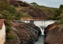Floresta Municipal Estação Ambiental de Peti comemora 43 anos com lançamento de site