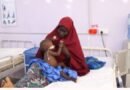 Mais de 87 mil crianças com desnutrição aguda foram tratadas por Médicos Sem Fronteiras no norte da Nigéria entre janeiro e agosto deste ano
