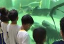 São Gonçalo do Rio Abaixo: Turismo pedagógico transforma conteúdos escolares em experiências práticas